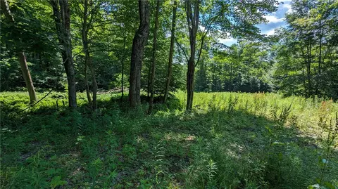 214 Larchwood Ln, Laurens, NY 13796