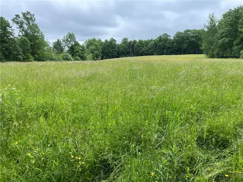 Other - 0 County Road 23, Reading, NY 14891 photo 6 of 7