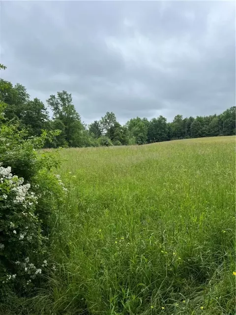 Other - 0 County Road 23, Reading, NY 14891 photo 3 of 7