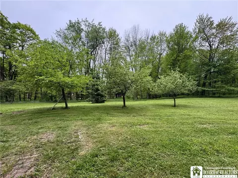 151 Chipmonk Rd, Limestone, NY 14753 photo 19
