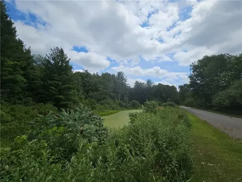 00 Railroad Ave, Angelica, NY 14709