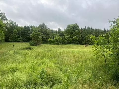 8242 Jericho Rd, Brutus, NY 13166