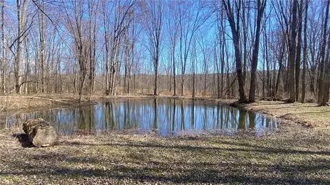 1571 Emerson Rd, Potter, NY 14507 photo 6