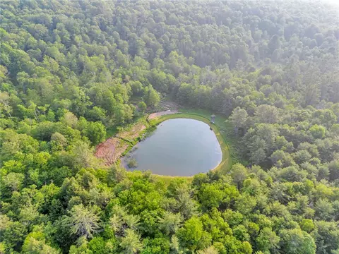 661 Lewis Rd, East Meredith, NY 13757 photo 7