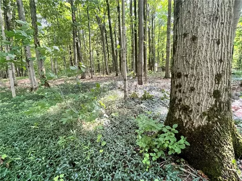 503 Centerville Rd, Albion, NY 13142 photo 7