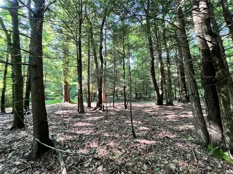 503 Centerville Rd, Albion, NY 13142 photo 35