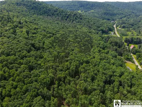 738 Four Mile Rd, Allegany, NY 14706