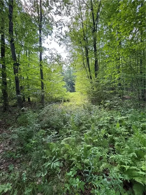 172 Aurora Dr, Norwich, NY 13815