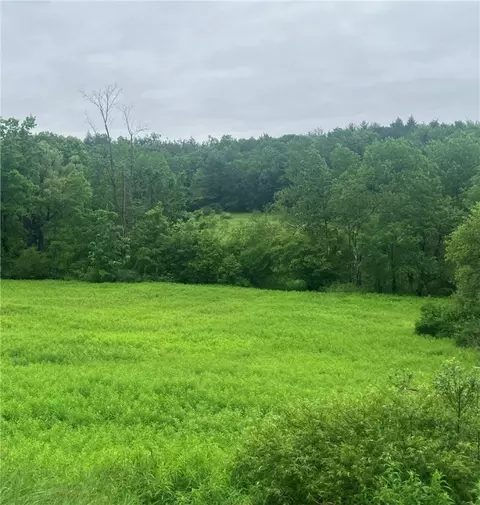 00 Oregon Rd, Butternuts, NY 13776