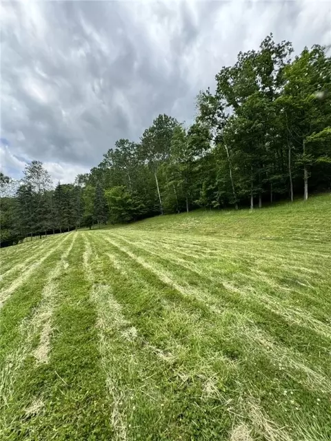 Exterior - 1029 Barden Brk, Ceres, PA 16731 photo 14 of 15
