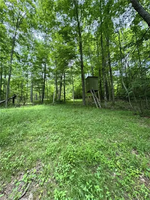 Exterior - 1029 Barden Brk, Ceres, PA 16731 photo 15 of 15