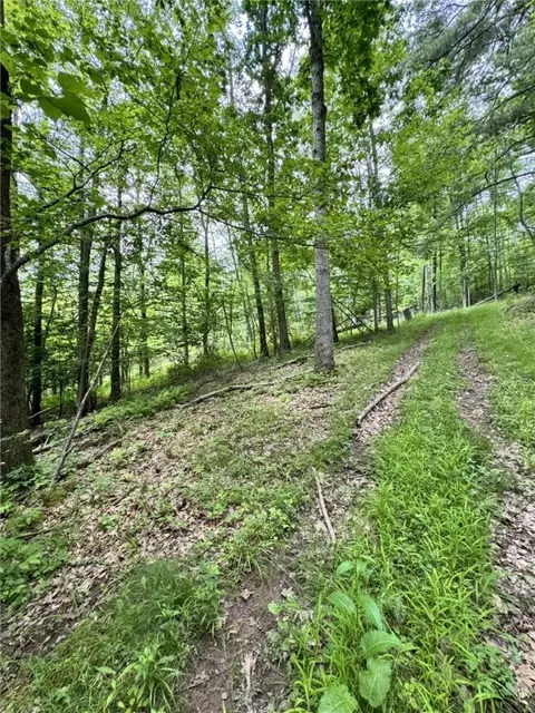 Other - 1029 Barden Brk, Ceres, PA 16731 photo 3 of 15