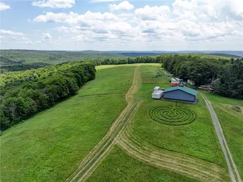 Other - 172 Hill Rd, Danby, NY 14850 photo 5 of 9