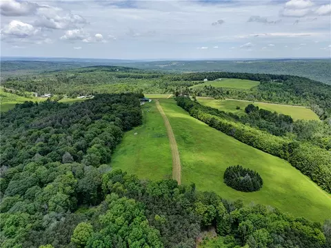 View/Area - 172 Hill Rd, Danby, NY 14850 photo 7 of 14