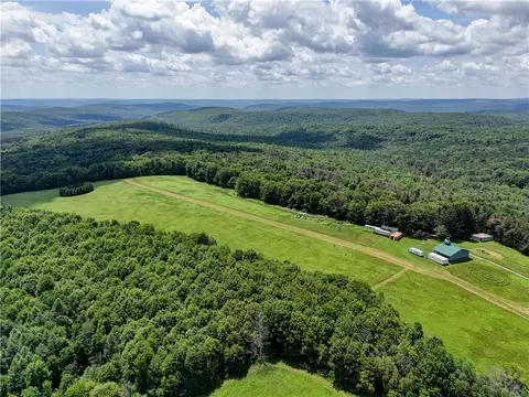 View/Area - 172 Hill Rd, Danby, NY 14850 photo 10 of 14