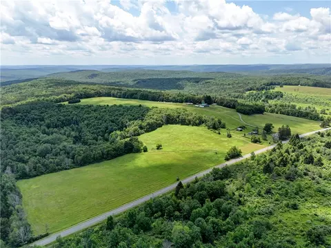 View/Area - 172 Hill Rd, Danby, NY 14850 photo 11 of 14