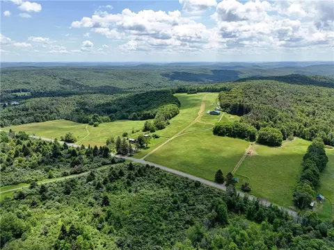 View/Area - 172 Hill Rd, Danby, NY 14850 photo 12 of 14