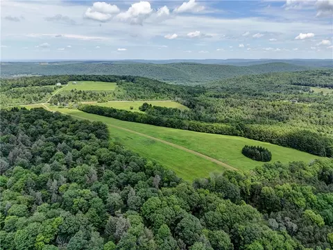 View/Area - 172 Hill Rd, Danby, NY 14850 photo 9 of 14