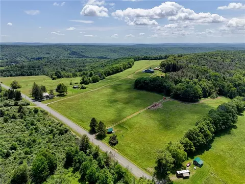 View/Area - 172 Hill Rd, Danby, NY 14850 photo 1 of 14