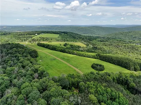 View/Area - 172 Hill Rd, Danby, NY 14850 photo 8 of 14