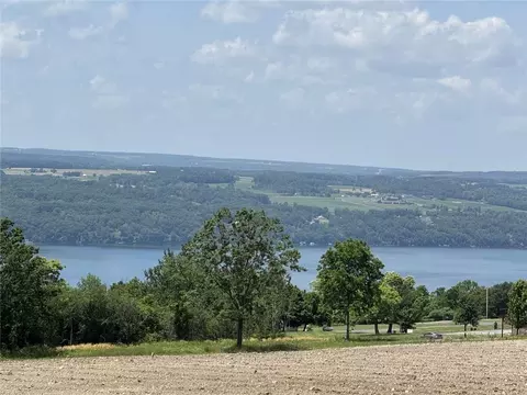 0 Shumway Rd, Hector, NY 14818