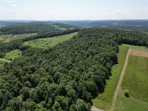 Price School Road, Troupsburg, NY 14885