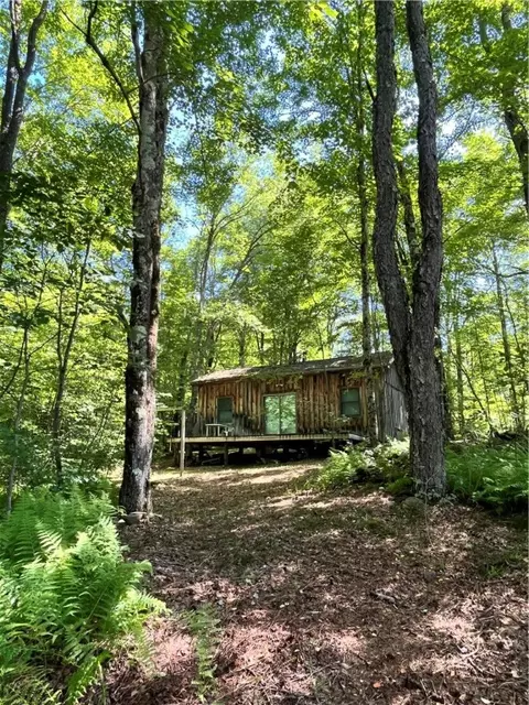 2865 Steam Mill Rd, Masonville, NY 13804