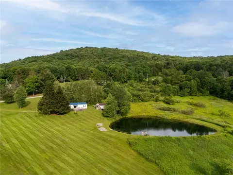 1635 Chipmunk Hollow Rd, Walton, NY 13856