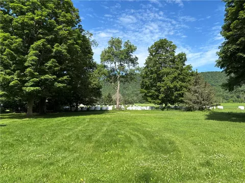 21 Main St, Schenevus, NY 12155 photo 36