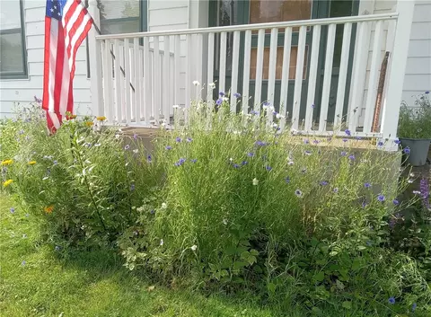 21 Main St, Schenevus, NY 12155 photo 37