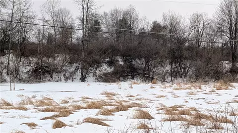 Algerine Street, Afton, NY 13730