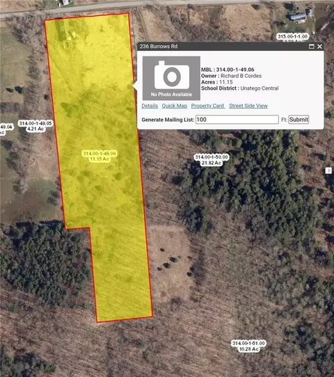 236 Burrows Rd, Unadilla, NY 13849