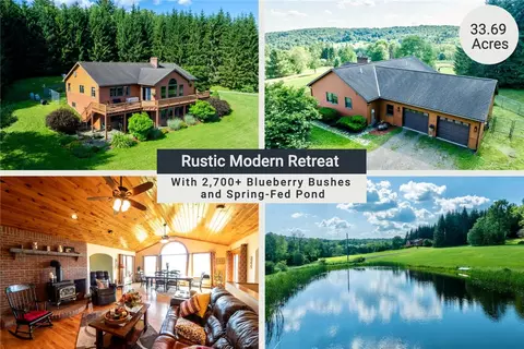 155 Hall Rd, Afton, NY 13730