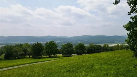 0 County Route 60, Chemung, NY 14825