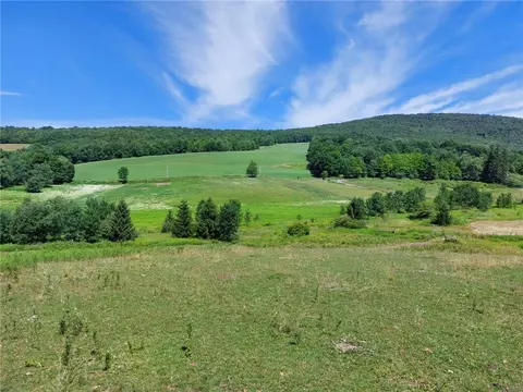 834 Crescent Valley Rd, Bovina, NY 13740