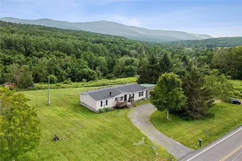 1002 Potter Mtn Rd, Conesville, NY 12076