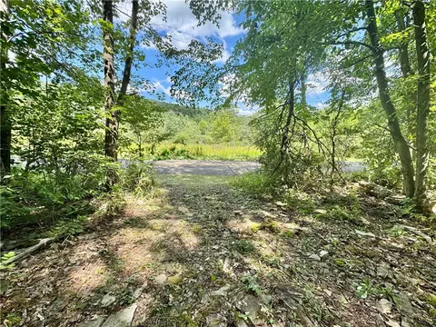 0 Breed Hollow Rd, Catlin, NY 14830