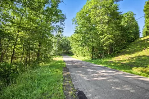 Davis Road, Corning, NY 14830 photo 3