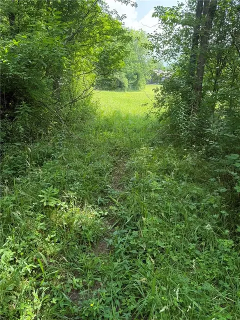 Other - 513 Halbert Hill Rd, Butternuts, NY 13776 photo 15 of 18