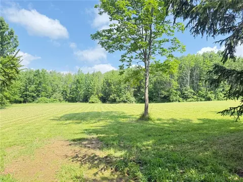 Exterior - 513 Halbert Hill Rd, Butternuts, NY 13776 photo 12 of 14