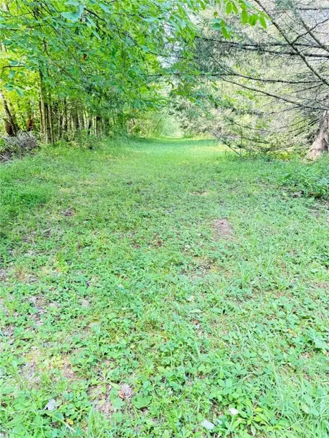 Other - 513 Halbert Hill Rd, Butternuts, NY 13776 photo 6 of 18