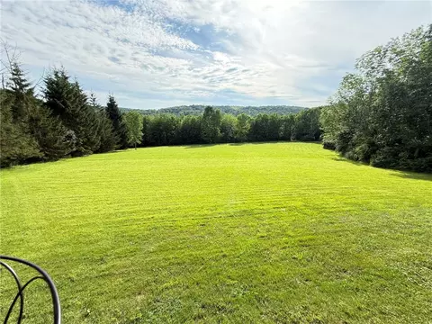 Exterior - 513 Halbert Hill Rd, Butternuts, NY 13776 photo 9 of 14