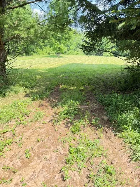 Other - 513 Halbert Hill Rd, Butternuts, NY 13776 photo 7 of 18