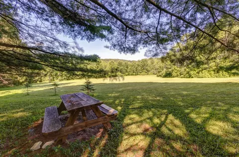 Exterior - 513 Halbert Hill Rd, Butternuts, NY 13776 photo 8 of 14