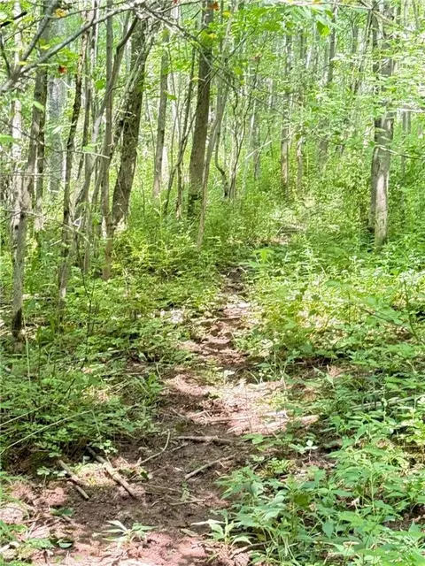Other - 513 Halbert Hill Rd, Butternuts, NY 13776 photo 10 of 18