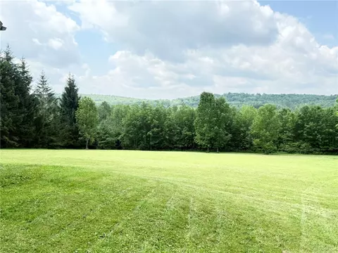 Exterior - 513 Halbert Hill Rd, Butternuts, NY 13776 photo 10 of 14