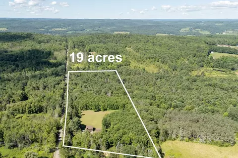 View/Area - 513 Halbert Hill Rd, Butternuts, NY 13776 photo 6 of 6