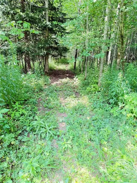 Other - 513 Halbert Hill Rd, Butternuts, NY 13776 photo 8 of 18