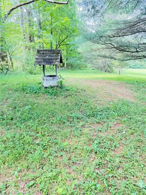 Exterior - 513 Halbert Hill Rd, Butternuts, NY 13776 photo 11 of 14