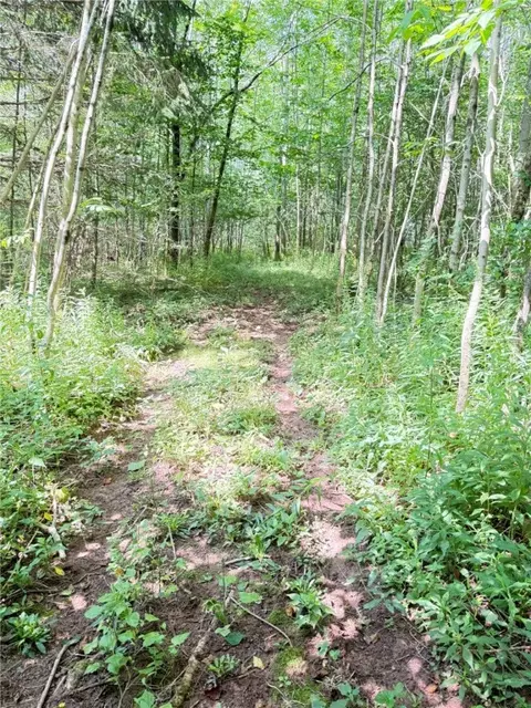 Other - 513 Halbert Hill Rd, Butternuts, NY 13776 photo 9 of 18